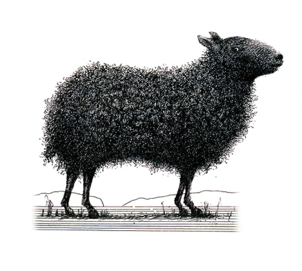 Le mouton noir.jpg